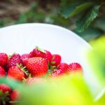 Où ranger les fraises ?