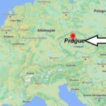 Où se trouve le cœur de rumsteak ?