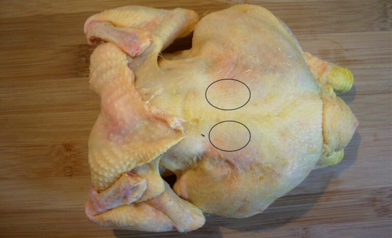 Où se trouve le sot l laissé dans le poulet ?