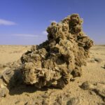 Où se trouve les roses des sables ?