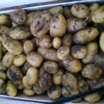 Où trouver de la pomme de terre Bintje ?