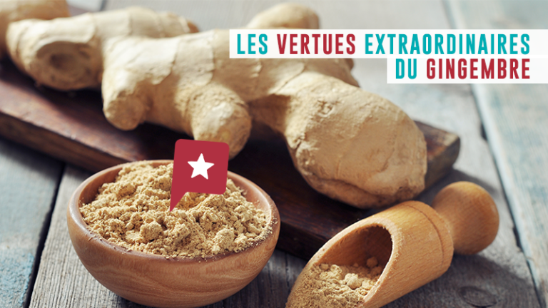 Où trouver de la racine de gingembre ? Où trouver de la racine de gingembre ?