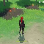 Où trouver des ballotins vides ?