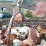 Où trouver des cèpes au Québec ?