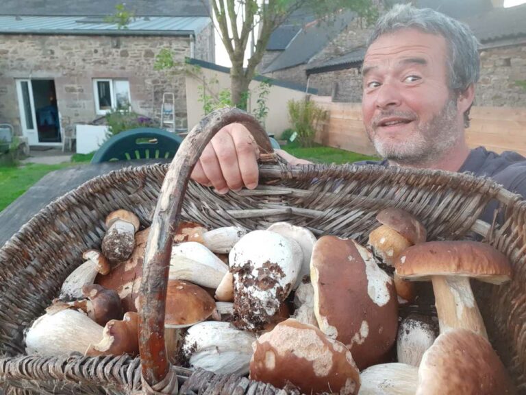 Où trouver des champignons autour de moi ?