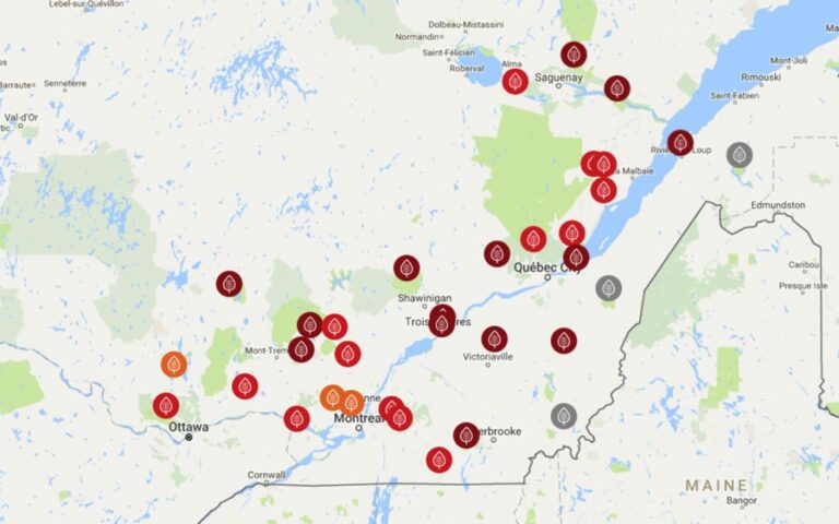 Où trouver des feuilles de brick au Québec ?