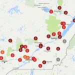 Où trouver des feuilles de brick au Québec ?