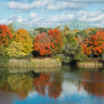 Où trouver des griottes à Québec ?