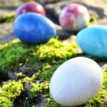 Où trouver des œufs de hareng ?