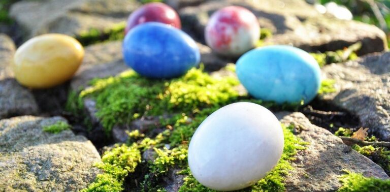 Où trouver des œufs de hareng ? Où trouver des œufs de hareng ?