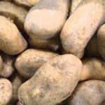 Où trouver des pommes de terre Spunta ?