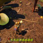 Où trouver du brousse ?