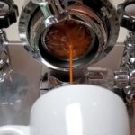 Où trouver le meilleur camembert ?