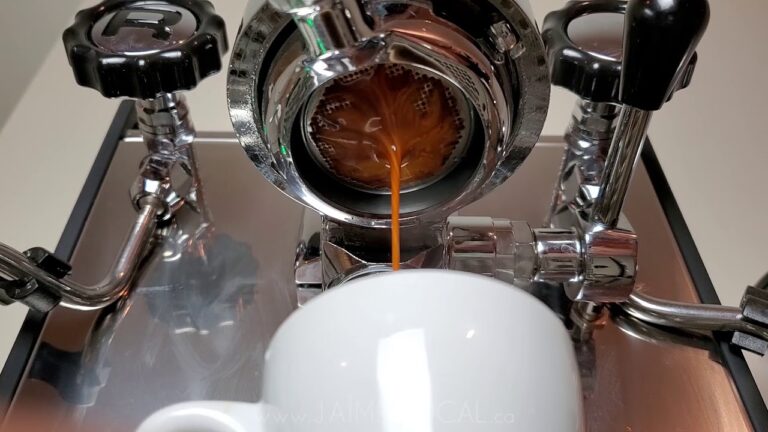 Où trouver le meilleur camembert ? Où trouver le meilleur camembert ?