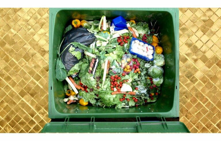 Où trouver panier anti-gaspi Carrefour ? Où trouver panier anti-gaspi Carrefour ?