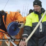 Où vit le cabillaud ?