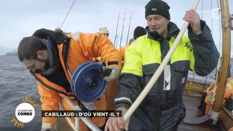 Où vit le cabillaud ? Où vit le cabillaud ?