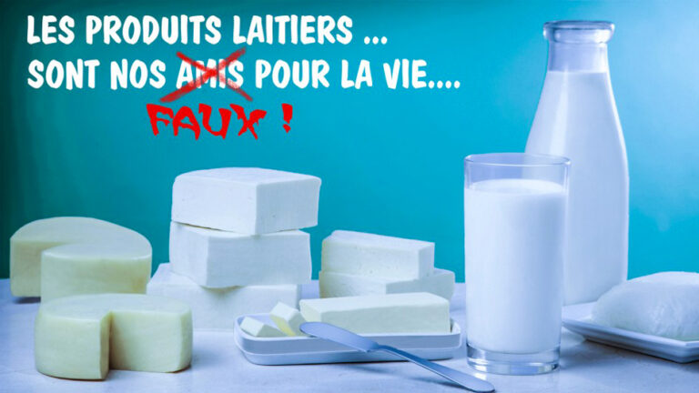 Pourquoi 3 produits laitiers par jour ?