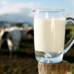 Pourquoi Dit-on que le lait est mauvais pour la santé ?