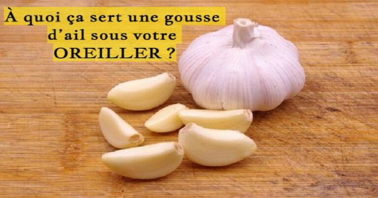 Pourquoi Frotter un plat avec une gousse d’ail ? Pourquoi Frotter un plat avec une gousse d'ail ?