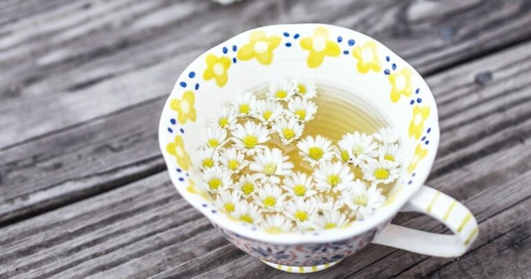 Pourquoi boire de la camomille ?