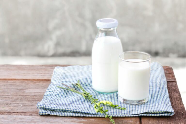 Pourquoi boire du lait entier ? Pourquoi boire du lait entier ?