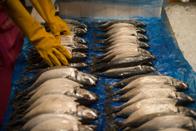 Pourquoi congeler le poisson avant de le manger cru ? Pourquoi congeler le poisson avant de le manger cru ?