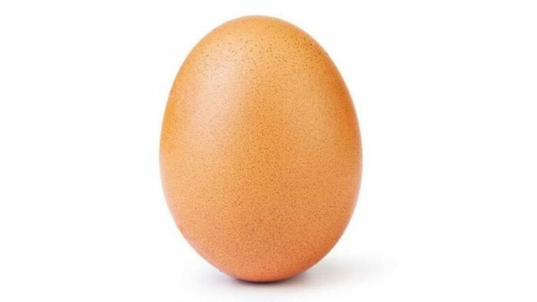 Pourquoi congeler un œuf ?