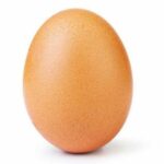 Pourquoi congeler un œuf ?