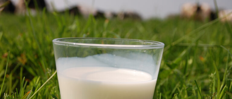 Pourquoi dessaler dans du lait ? Pourquoi dessaler dans du lait ?