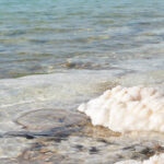 Pourquoi du sel dans la Margarita ?