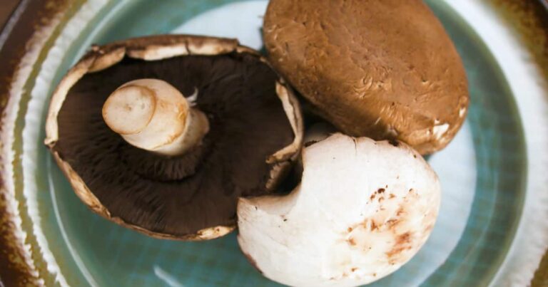 Pourquoi éplucher les champignons ?