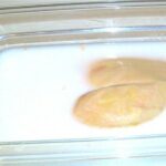 Pourquoi faire tremper le foie gras dans le lait ?