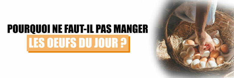 Pourquoi il ne faut pas manger des œufs le soir ?