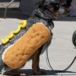 Pourquoi il s'appelle Ratatouille ?