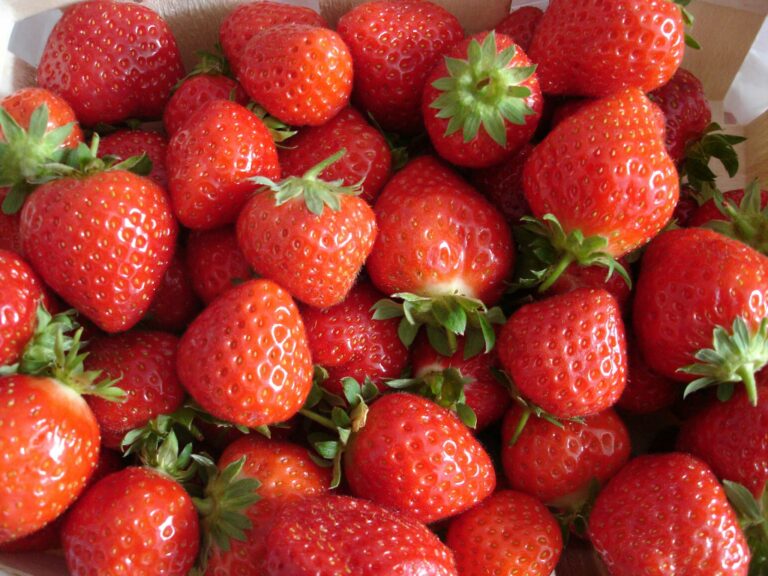 Pourquoi j’ai envie de manger des fraises ? Pourquoi j'ai envie de manger des fraises ?