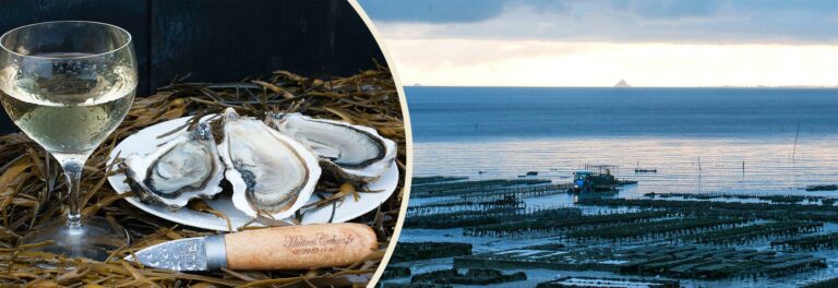 Pourquoi je suis malade avec les huîtres ?