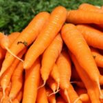 Pourquoi la carotte est un fruit ?