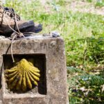 Pourquoi la coquille de Saint-jacques-de-compostelle ?