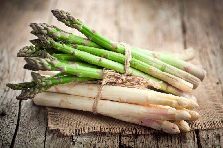 Pourquoi l'asperge est filandreuse ?