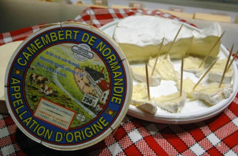 Pourquoi le Camembert est rond ?