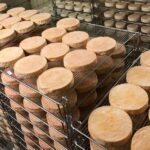 Pourquoi le Munster est orange ?