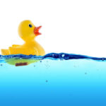 Pourquoi le canard est un objet sexuel ?