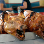 Pourquoi le cochon de lait ?