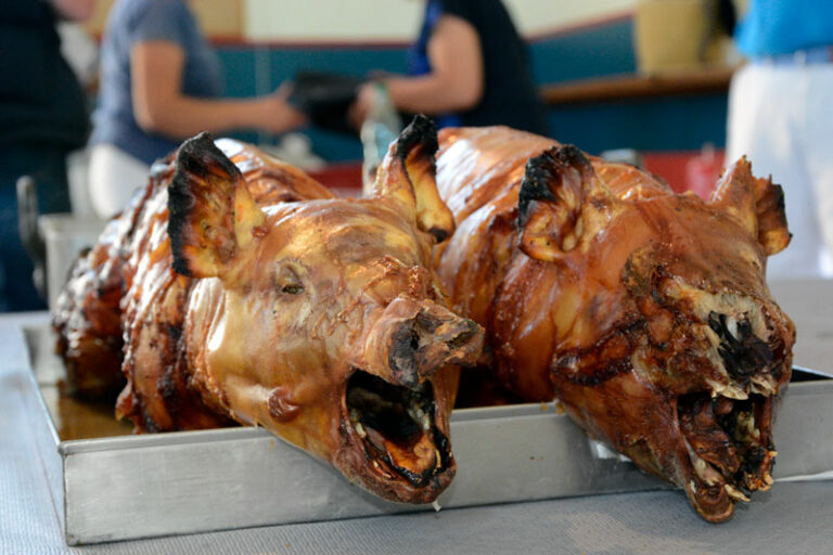 Pourquoi le cochon de lait ? Pourquoi le cochon de lait ?