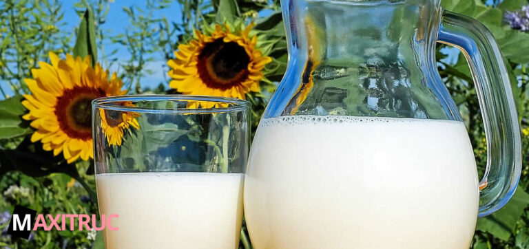 Pourquoi le lait est nocif ?