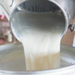 Pourquoi le lait est pasteurisé ?