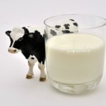 Pourquoi le lait n'est pas bon pour la santé ?
