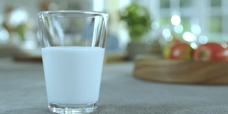 Pourquoi le lait n'est pas bon pour les adultes ?