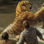 Pourquoi le manioc est dangereux ?